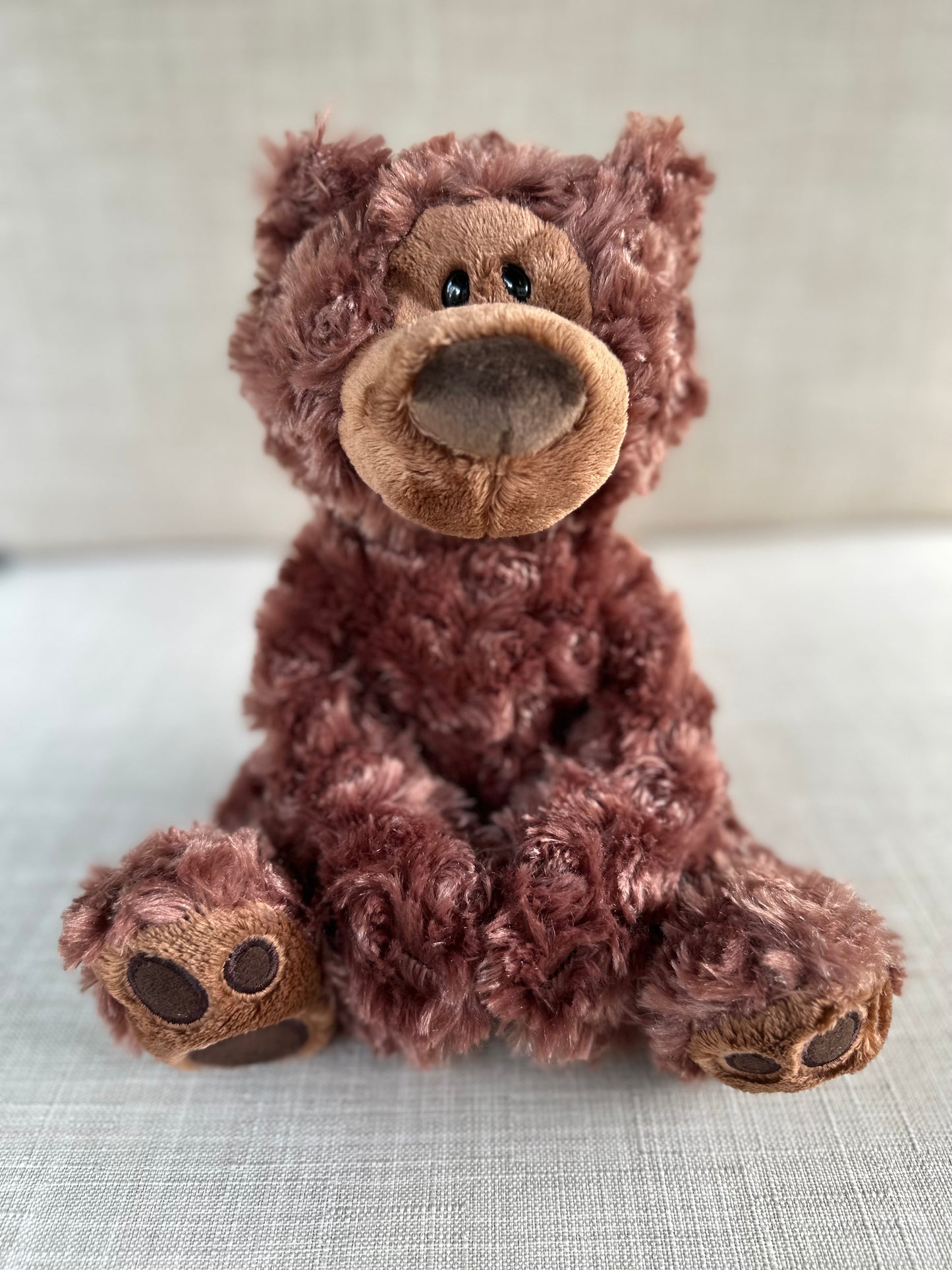 Teddy Bear - Gund - Brown